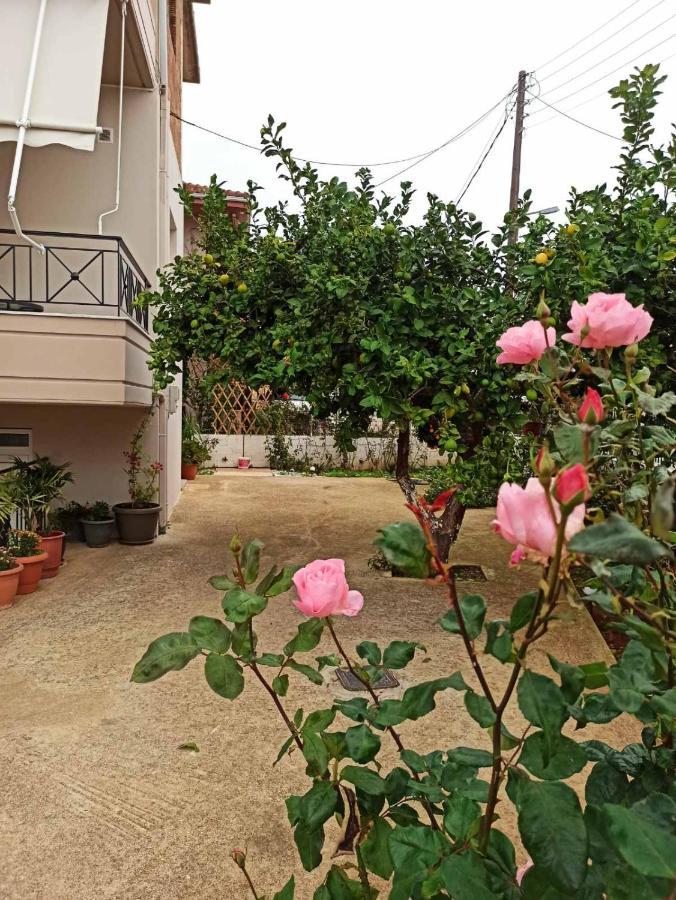 Agathi'S House Apartment Mytikas  Luaran gambar