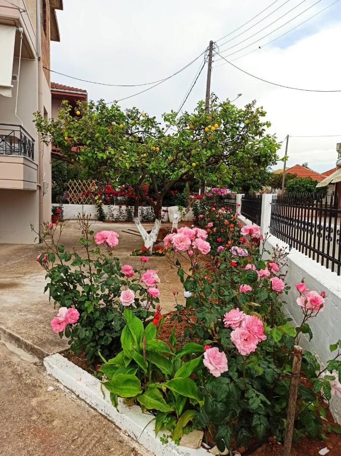 Agathi'S House Apartment Mytikas  Luaran gambar